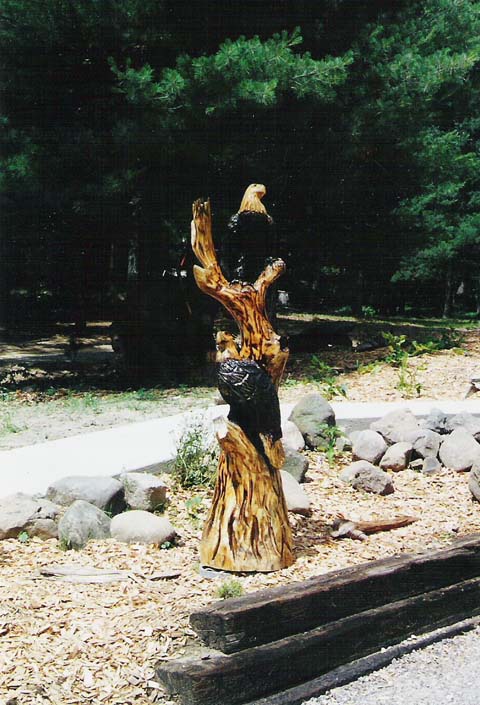Two Perched Eagles